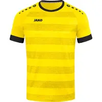 Jako T-paita Jako t Celtic Melange KA 4214-003