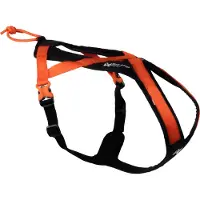 Non-Stop Dogwear Non-Stop Rush vetovaljaat, musta/oranssi