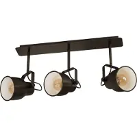 Eglo 43387 - Kohdevalo MITCHLEY 3xE27/40W/230V