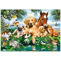 Castorland 500 Summer Pals