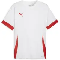 Puma Toiminnallinen paita 'TeamGoal Matchday' punainen / valkoinen