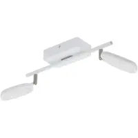 Eglo 97692 - LED-kohdevalaisin PALOMBARE-C 2xLED/5W/230V