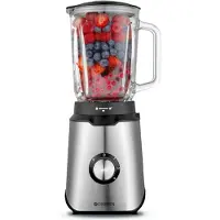 Champion - Blenderi 600W 1,5 L Ruostumaton