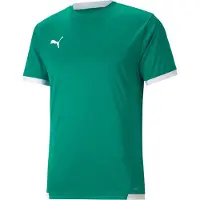 Puma Toiminnallinen paita 'TeamLIGA' smaragdi / valkoinen