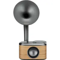 Sangean CP-100D Fabric black-Gold DAB+/FM-RDS/bluetooth/AU - Musta
