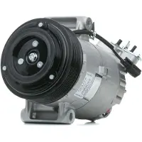 Delphi Kompressori, ilmastointilaite TSP0155928