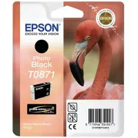 Epson T0871 Stylus Photo R1900 Photo Blk