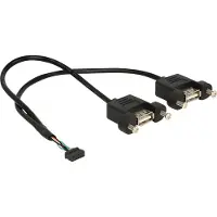 DeLOCK - USB intern til ekstern kabel - 10 pins USB-samlekasse (hun) til USB (hun) - 25 cm - lajittelu