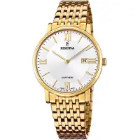 Festina F20020/1 Swiss Made