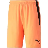 Puma Shortsit Teamliga - Oranssi/musta, koko Medium
