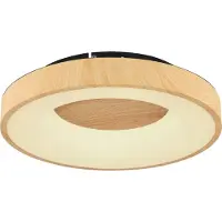 Globo Jolli Ø40 CCT LED plafondi