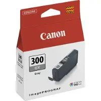 Canon PFI-300 GREY (4200C001)