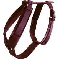 Kentucky Active Velvet Koiran Valjaat