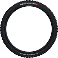 Schwalbe Dampf Super Trail, tires