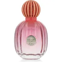 Banderas The Icon Splendid Eau de Parfum 100 ml