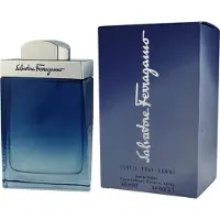 Salvatore Ferragamo Subtil Pour Homme Eau de Toilette -tuoksu miehille 100 ml