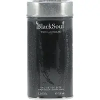 Ted Lapidus Black Soul Eau de Toilette -tuoksu miehille 100 ml