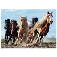 Trefl Galopping Horses 1000p palapeli
