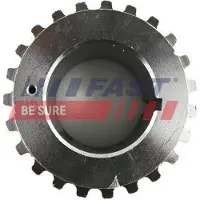 Fast Sports Nutrition Gear/Sprocket, camshaft