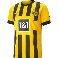 Puma Bvb Borussia Dortmund 22/23 Koti Lyhythihainen T-paita