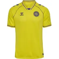 Hummel Tanska Maalivahdin Paita 2026/27 - , koko Small