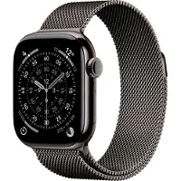 Apple Watch Series 11 GPS + Cell 42 mm liuskekivi titan, liuskekivi milanolaisranneke