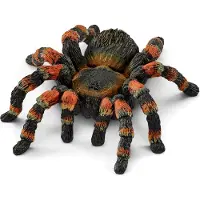 Schleich WILD LIFE Taranteli