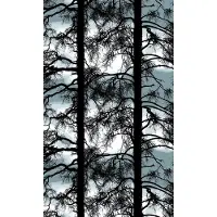 Vallila Kelohonka pimentävä kangas 150 cm