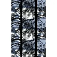 Vallila Kelohonka-kangas 150 cm