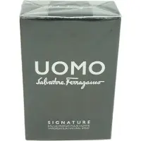 Salvatore Ferragamo Uomo, EdP 100ml