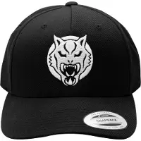 Wildcat Snapback Cap - Lippis
