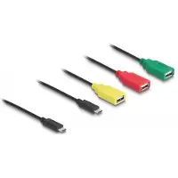 DeLOCK 64203, USB Type-C, 3 x USB-A female + 1 x USB-C, 0,3 m, Monivärinen
