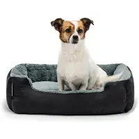 Lionto Peti Snuff, M, 60x48x18 cm