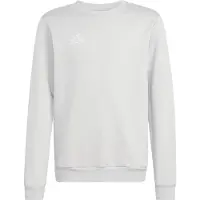 Adidas Entrada 26 Sweat Collegepaita