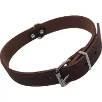 Nobby Halsbånd TABIL 45 cm (35-40 cm) 18 mm Brun