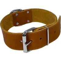 Nobby Halsbånd TABIL ekstra bred 65 cm (48-58 cm) 50 mm