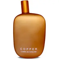 Comme des Garcons Copper Eau de Parfum 100 ml