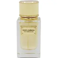 Dolce&Gabbana Velvet Mimosa Bloom EDP N 50 ml