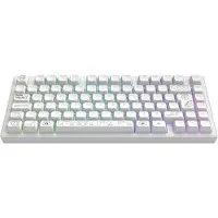 Dark Project ALU81 Gaming Näppäimistö RGB - Terra Nova [g3ms Moonstone] - Valkoinen