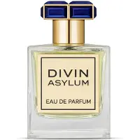 French Avenue Eau de Parfum FW Divin Asylum miehille, 100 ml