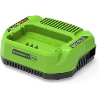 Greenworks Laturi G60UC; 60 V