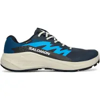 Salomon Alphaglide GTX, juoksukengät, miesten, sininen