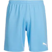 Puma Teamrise Shortsit