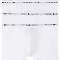 Tommy Hilfiger Um0um03889 Trunk Boxerit 3 Yksiköt