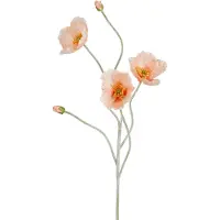 Mica Decorations Mica Poppy Peach 107cm tekokukka
