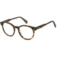 Polaroid PLD D519 50/19/145 Havana asetaattikehykset UNISEX PLD D519