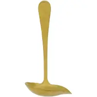 Nicolas Vahé Daily kauha 17 cm Kullanvärinen viimeistely