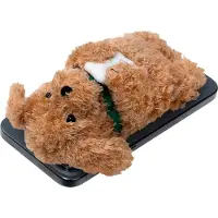 Laut Magmoji Ginger Dog Magsafe lompakko