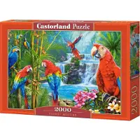Castorland palapeli 2000 palaa - papukaija