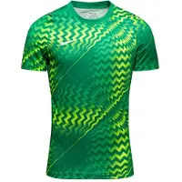 Nike Maalivahdin paita Dri-FIT Gardien VI - Vihreä/Valkoinen, koko X-Large